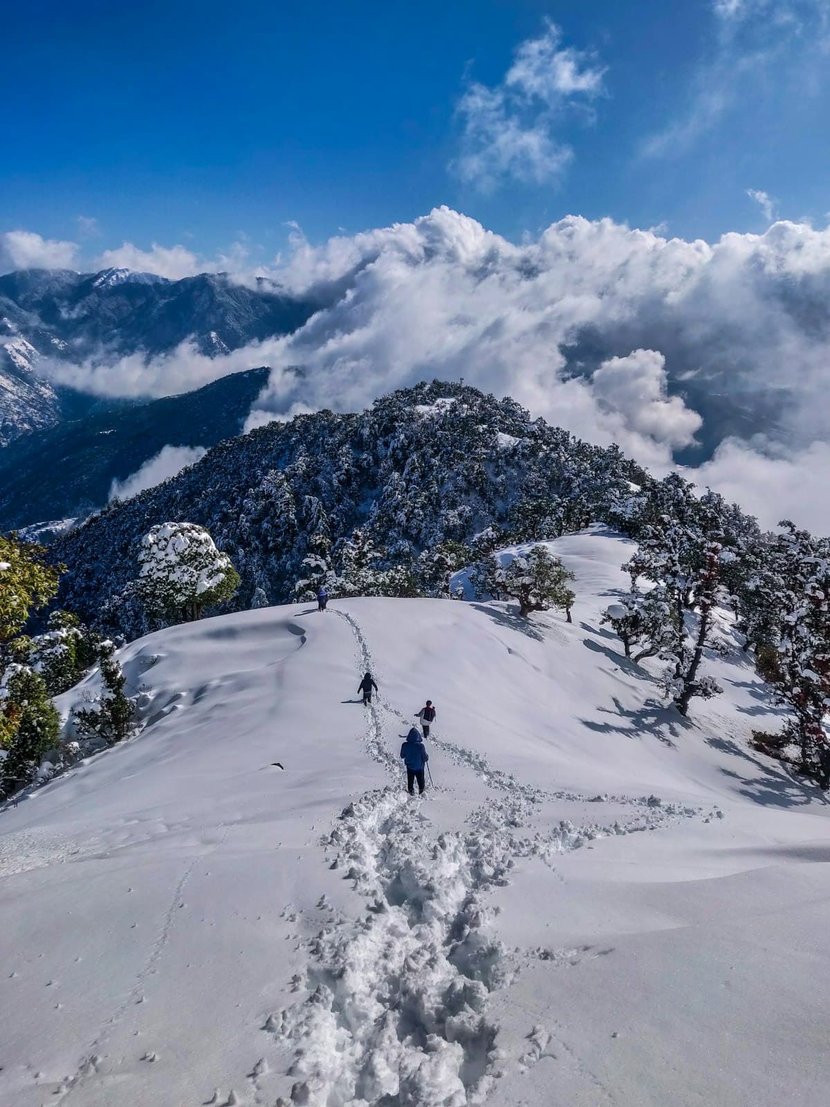Best Time to Visit Nainital & Things to Do